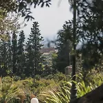 La Lumia &