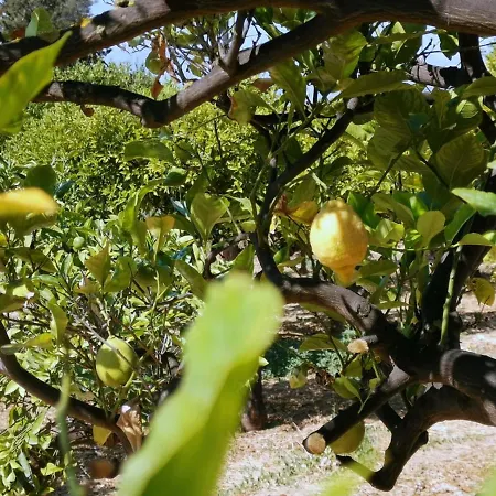 La Lumia & Bed and Breakfast Αγκριτζέντο