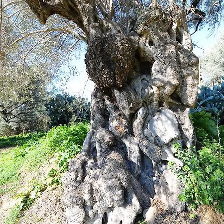 La Lumia & 2* Agrigento