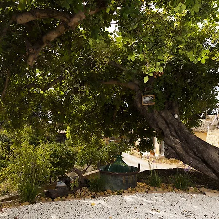 Bed and Breakfast La Lumia & 4*