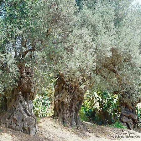 Bed & Breakfast La Lumia & Agrigento