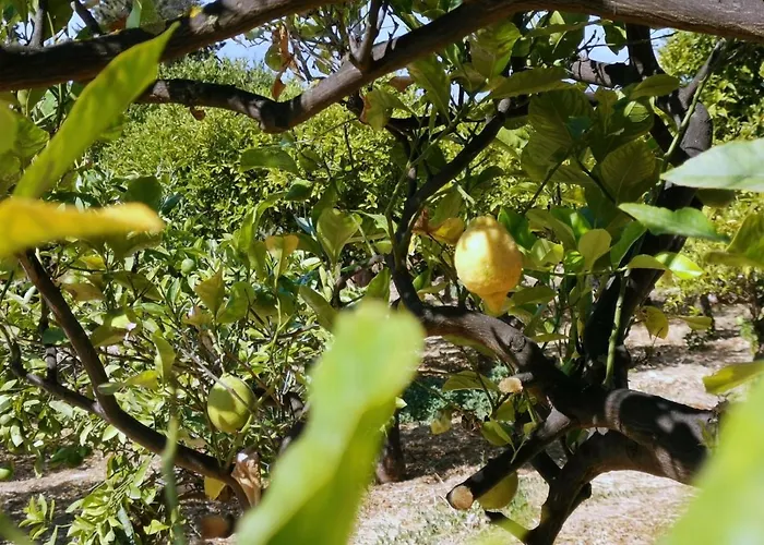 La Lumia & Bed & Breakfast Agrigento