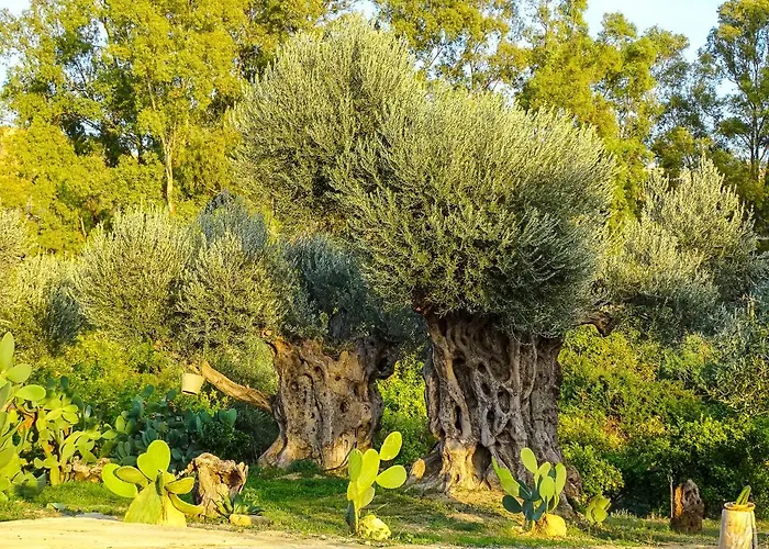 La Lumia & Bed & Breakfast 4*