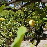 La Lumia & Bed & Breakfast Agrigento