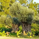 La Lumia & Bed & Breakfast 4*