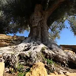 La Lumia & Bed & Breakfast Agrigento