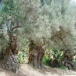 Bed & Breakfast La Lumia & Agrigento