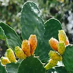 La Lumia & Bed & Breakfast