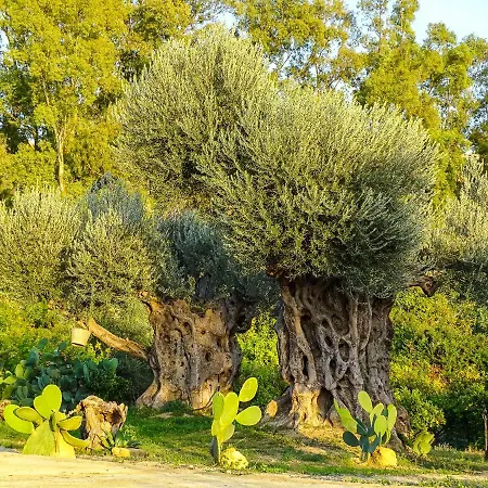 La Lumia & Bed & Breakfast 4*