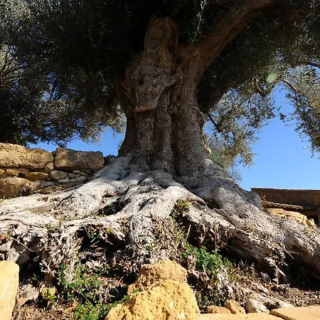 La Lumia Suites&apartments Bed & Breakfast Agrigento