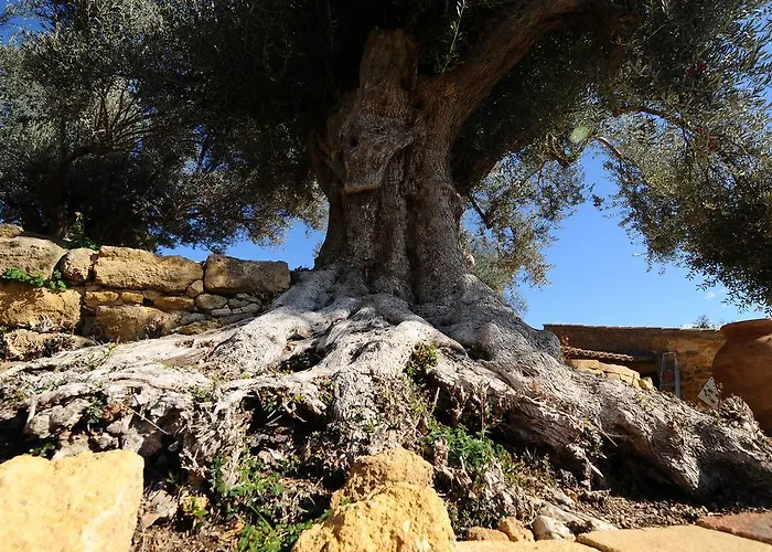 La Lumia Suites&apartments Bed & Breakfast Agrigento