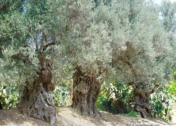 Panzió La Lumia & Agrigento