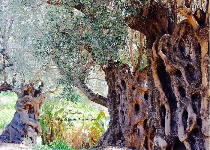 La Lumia Suites&apartments 4*